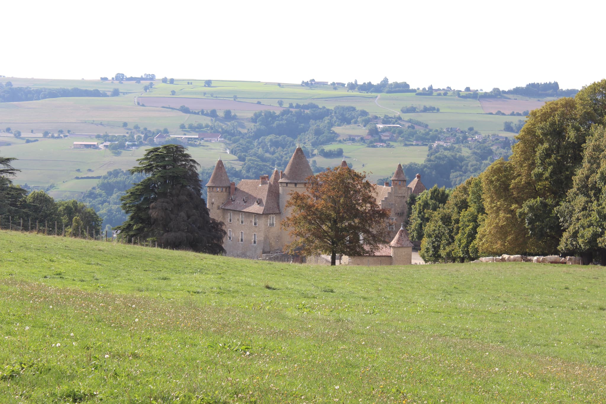 Château de Virieu — château à Virieu, Isère, inscrit mh